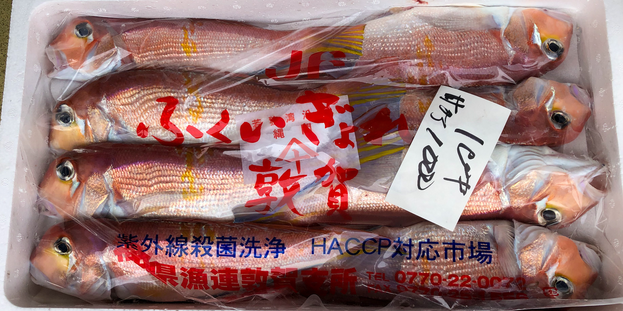 1038 敦賀の「相木魚問屋」新鮮激安の秘密はセリから店へ台車で直行 | hrdfilms.com